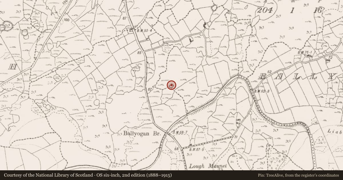 Ordnance Survey six-inch map, 2nd edition (1888–1915) covering the location of Enclosure, Loughaunnaweelaun, Ballyogan Beg, County Clare, with a pin at the register's coordinates