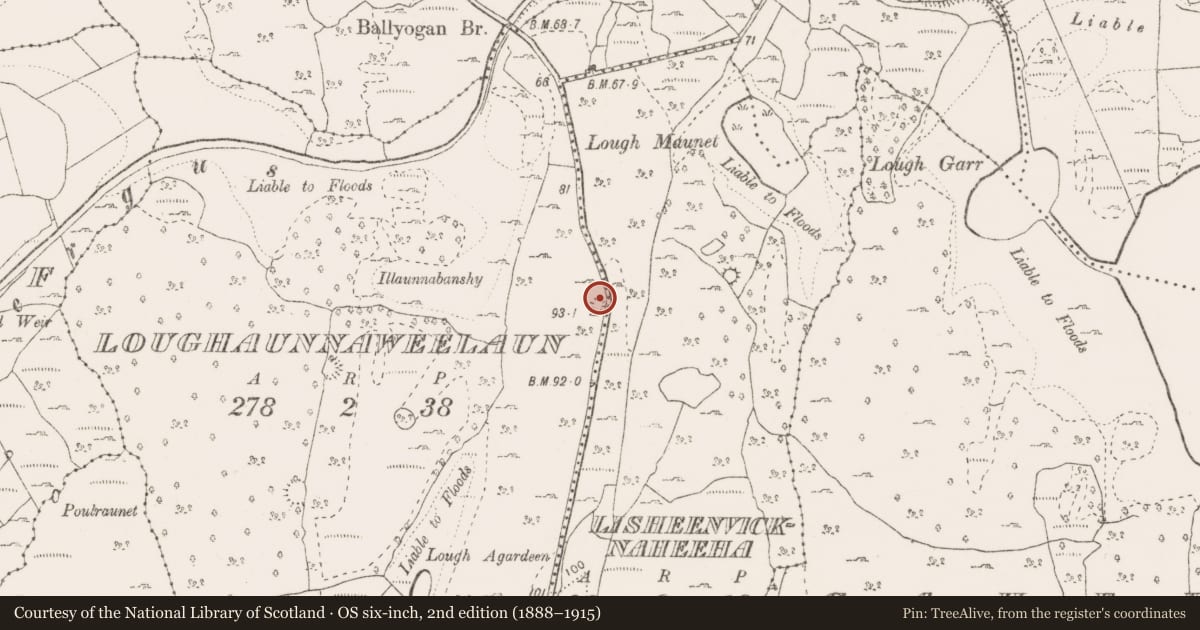 Ordnance Survey six-inch map, 2nd edition (1888–1915) covering the location of Enclosure, Loughaunnaweelaun, County Clare, with a pin at the register's coordinates