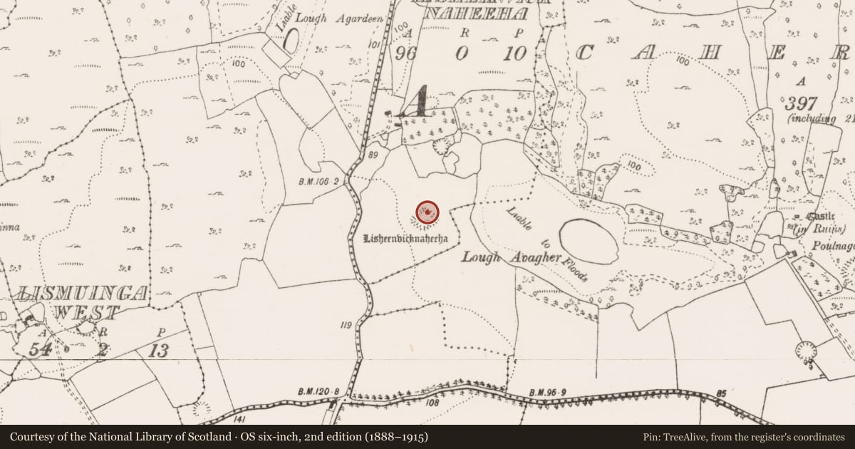 Ordnance Survey six-inch map, 2nd edition (1888–1915) covering the location of Enclosure, Lisheenvicknaheeha, County Clare, with a pin at the register's coordinates