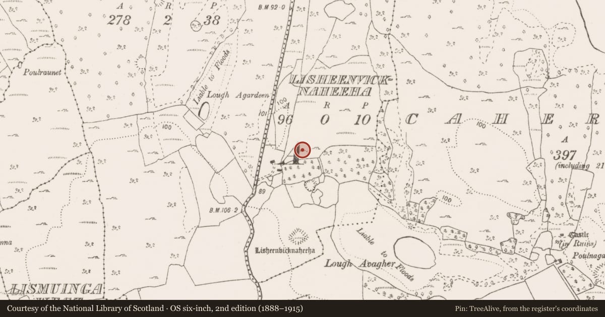 Ordnance Survey six-inch map, 2nd edition (1888–1915) covering the location of Enclosure, Lisheenvicknaheeha, County Clare, with a pin at the register's coordinates