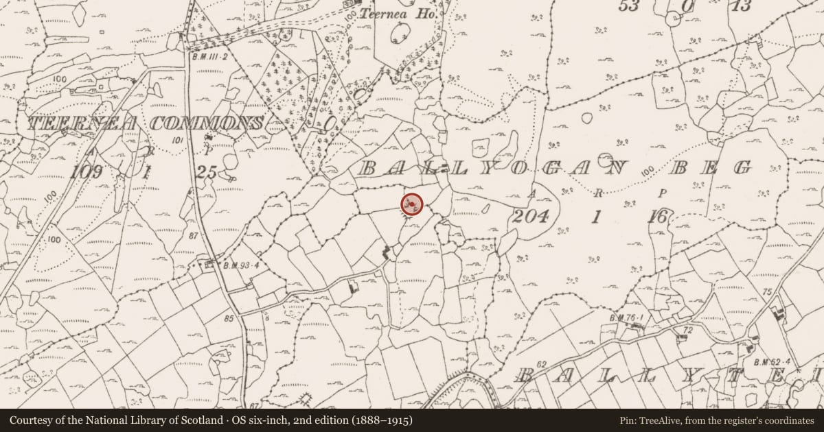 Ordnance Survey six-inch map, 2nd edition (1888–1915) covering the location of Enclosure, Ballyogan Beg, Loughaunnaweelaun, County Clare, with a pin at the register's coordinates