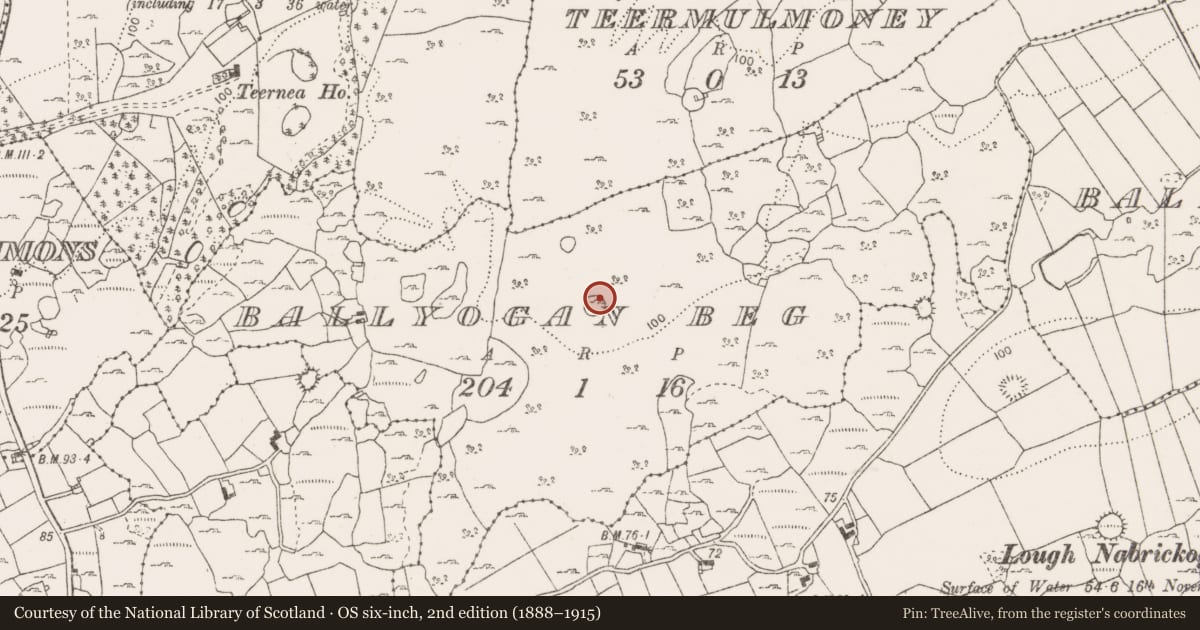 Ordnance Survey six-inch map, 2nd edition (1888–1915) covering the location of Ringfort - cashel, Ballyogan Beg, County Clare, with a pin at the register's coordinates