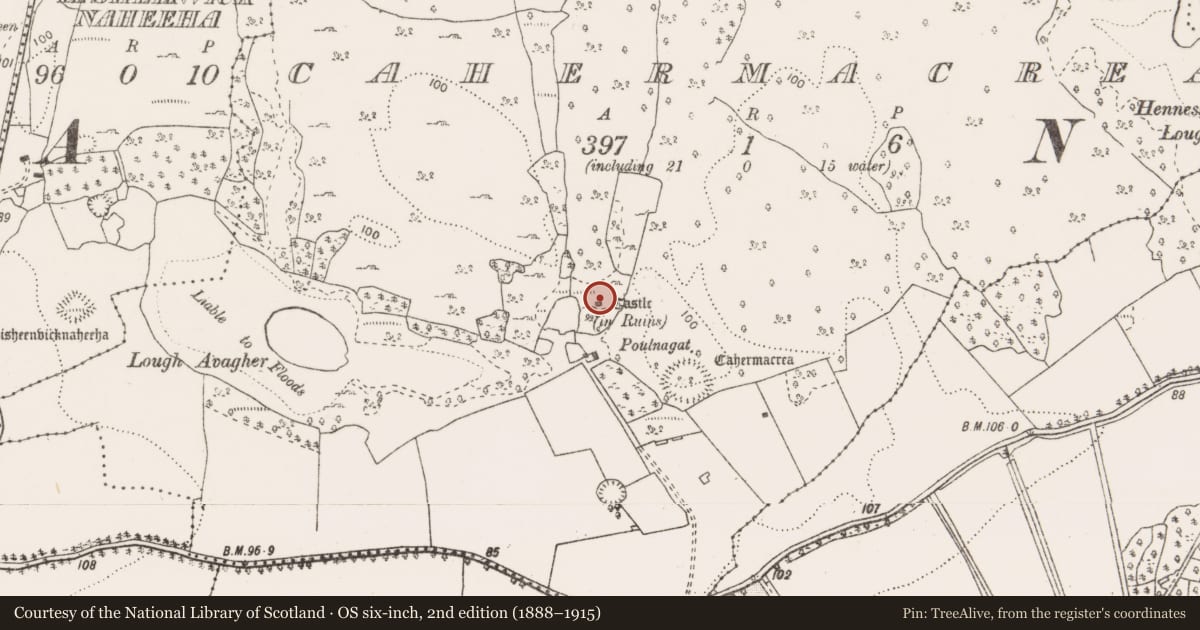 Ordnance Survey six-inch map, 2nd edition (1888–1915) covering the location of Castle - unclassified, Cahermacrea, County Clare, with a pin at the register's coordinates