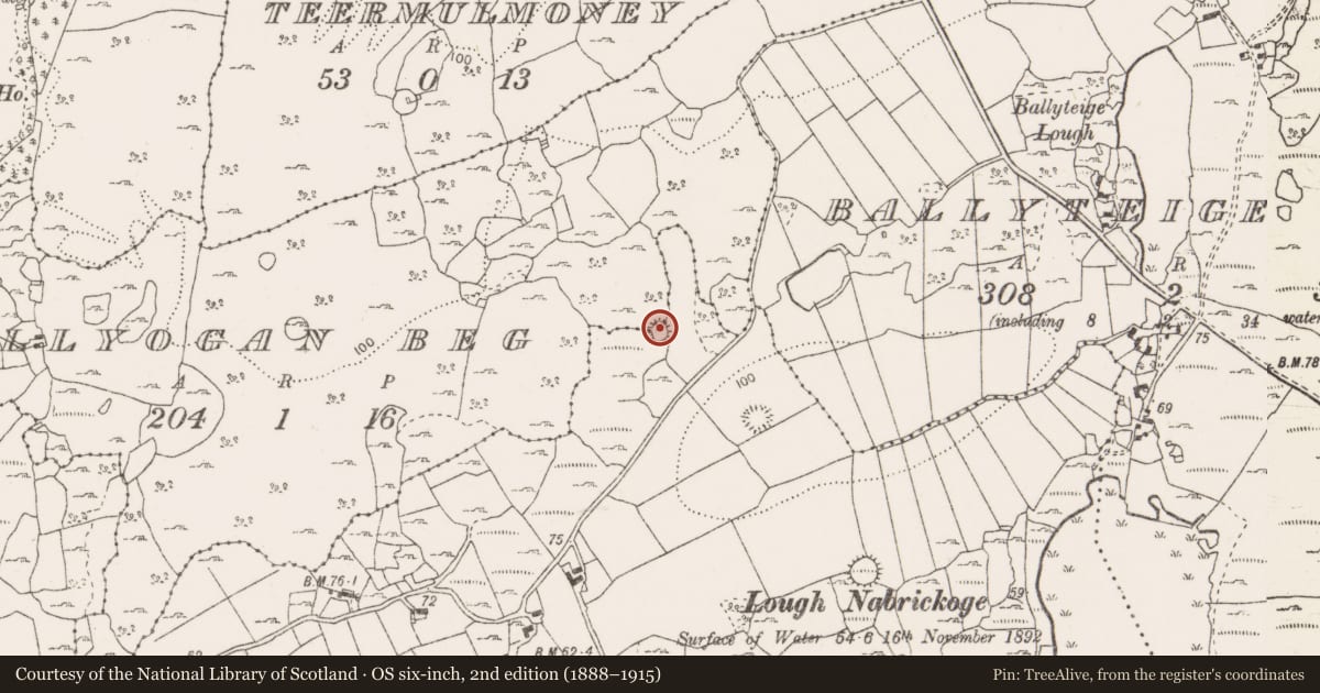 Ordnance Survey six-inch map, 2nd edition (1888–1915) covering the location of Enclosure, Ballyogan Beg, Ballyteige West, County Clare, with a pin at the register's coordinates