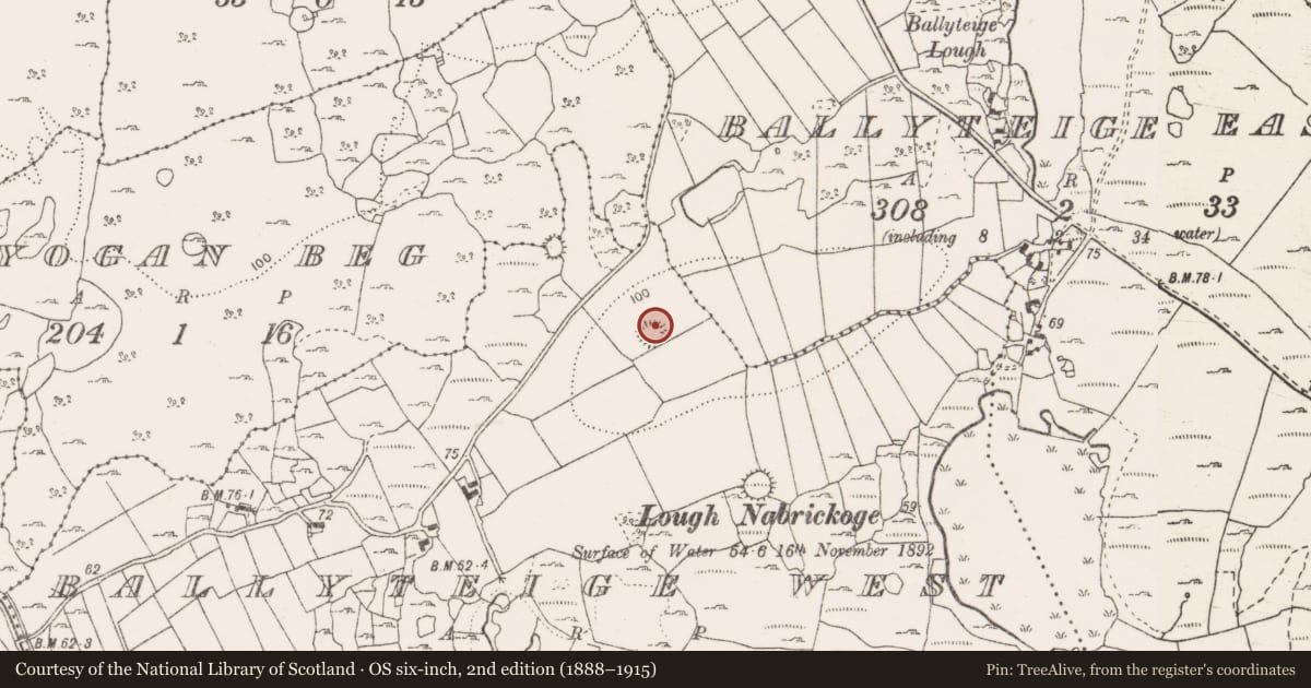 Ordnance Survey six-inch map, 2nd edition (1888–1915) covering the location of Ringfort - rath, Ballyteige West, County Clare, with a pin at the register's coordinates