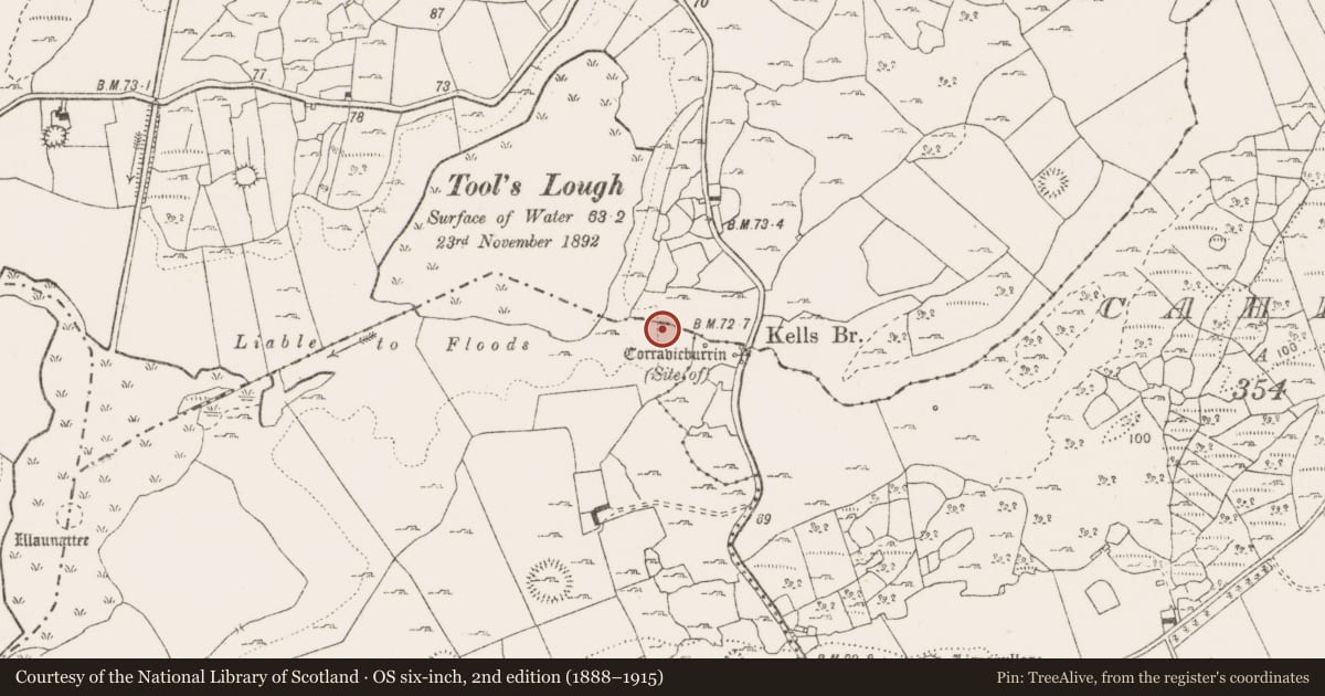 Ordnance Survey six-inch map, 2nd edition (1888–1915) covering the location of Causeway, Kells, Rinneen, County Clare, with a pin at the register's coordinates