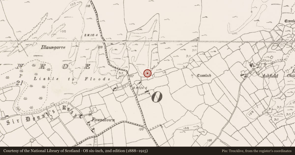 Ordnance Survey six-inch map, 2nd edition (1888–1915) covering the location of Cist, Gortlecka, County Clare, with a pin at the register's coordinates