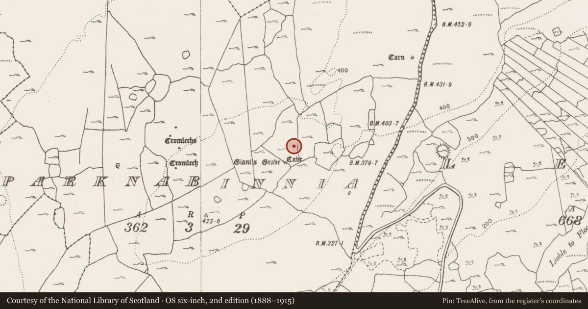 Ordnance Survey six-inch map, 2nd edition (1888–1915) covering the location of Field system, County Clare, with a pin at the register's coordinates
