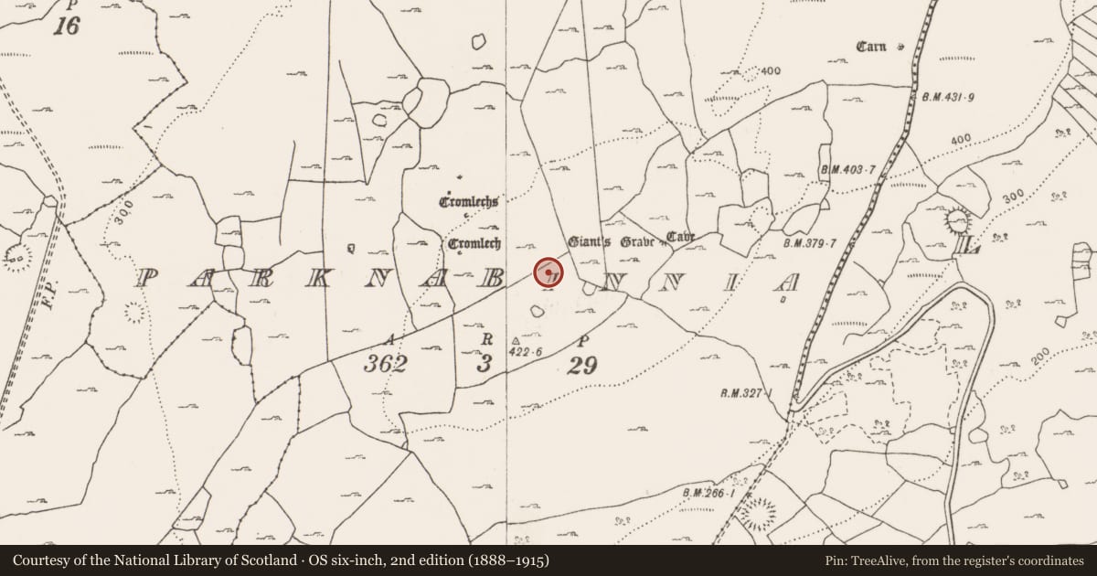 Ordnance Survey six-inch map, 2nd edition (1888–1915) covering the location of Megalithic tomb - wedge tomb, Parknabinnia, County Clare, with a pin at the register's coordinates
