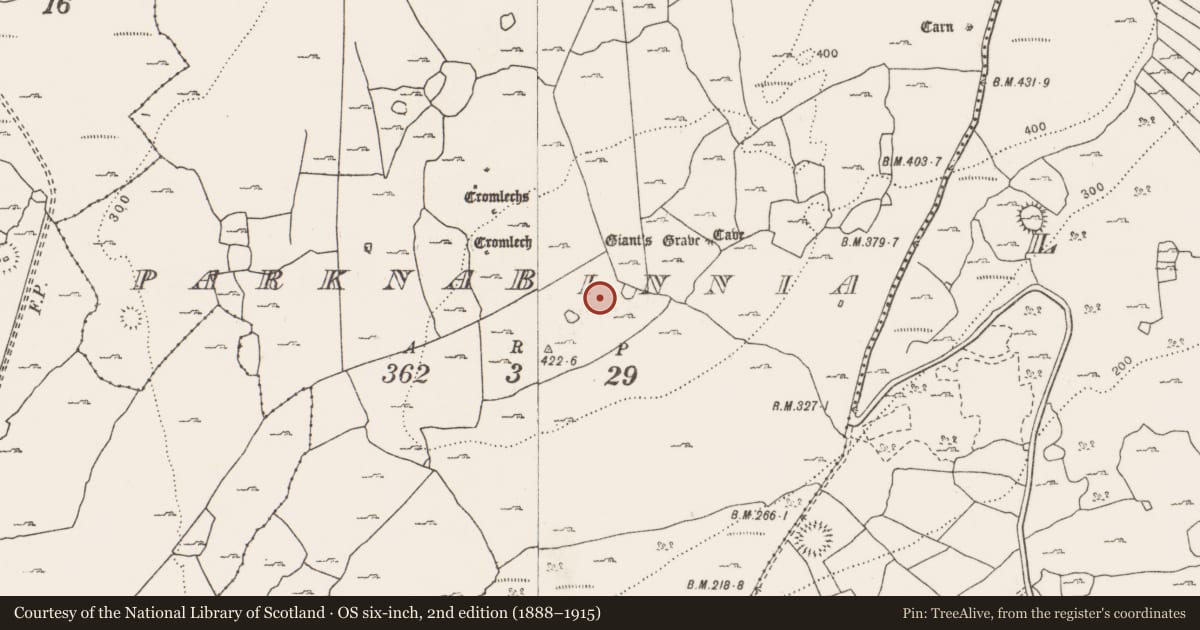 Ordnance Survey six-inch map, 2nd edition (1888–1915) covering the location of Megalithic structure, Parknabinnia, County Clare, with a pin at the register's coordinates