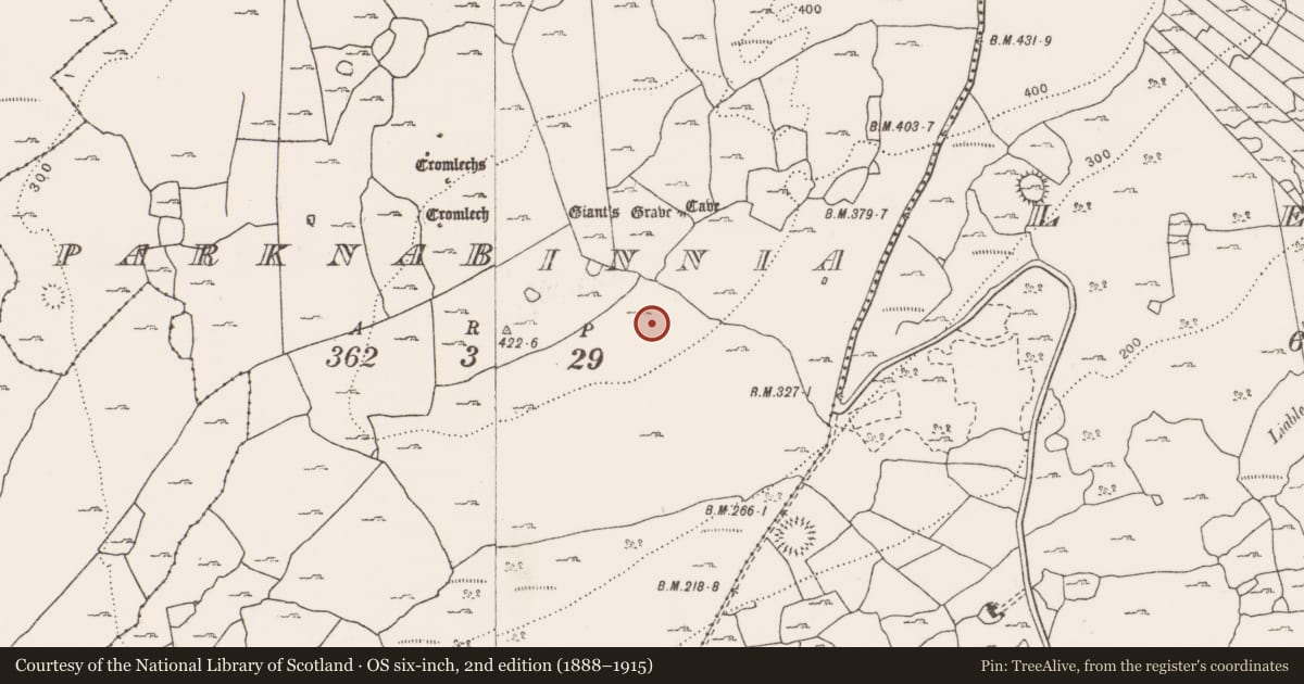 Ordnance Survey six-inch map, 2nd edition (1888–1915) covering the location of Cist, Parknabinnia, County Clare, with a pin at the register's coordinates