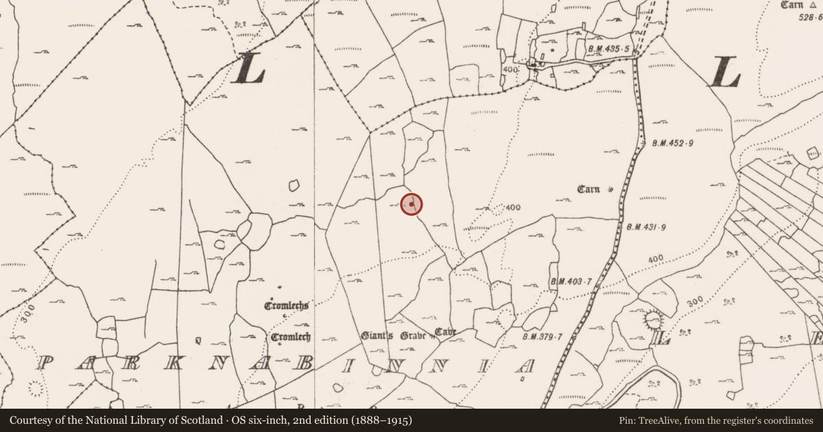 Ordnance Survey six-inch map, 2nd edition (1888–1915) covering the location of Megalithic tomb - court tomb, Parknabinnia, County Clare, with a pin at the register's coordinates