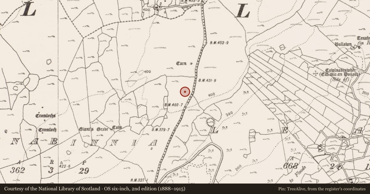 Ordnance Survey six-inch map, 2nd edition (1888–1915) covering the location of Megalithic tomb - unclassified, Parknabinnia, County Clare, with a pin at the register's coordinates