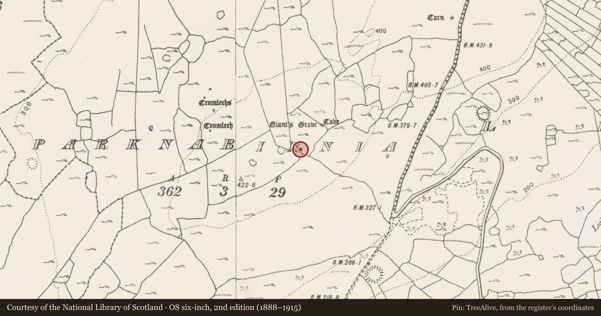 Ordnance Survey six-inch map, 2nd edition (1888–1915) covering the location of Megalithic tomb - passage tomb, Parknabinnia, County Clare, with a pin at the register's coordinates