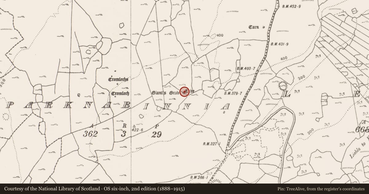 Ordnance Survey six-inch map, 2nd edition (1888–1915) covering the location of Megalithic tomb - wedge tomb, Parknabinnia, County Clare, with a pin at the register's coordinates