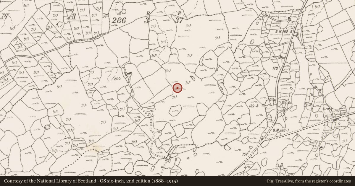 Ordnance Survey six-inch map, 2nd edition (1888–1915) covering the location of Fulacht fia, Monanaleen, County Clare, with a pin at the register's coordinates