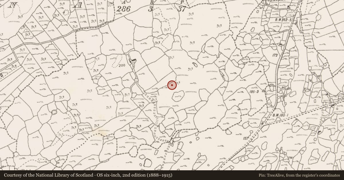 Ordnance Survey six-inch map, 2nd edition (1888–1915) covering the location of Fulacht fia, Monanaleen, County Clare, with a pin at the register's coordinates