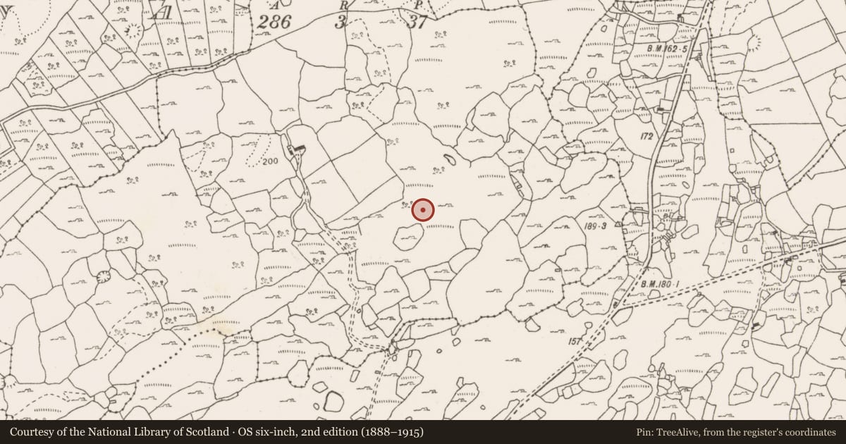Ordnance Survey six-inch map, 2nd edition (1888–1915) covering the location of Fulacht fia, Monanaleen, County Clare, with a pin at the register's coordinates