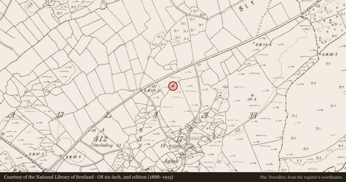 Ordnance Survey six-inch map, 2nd edition (1888–1915) covering the location of Fulacht fia, Aglish, County Clare, with a pin at the register's coordinates