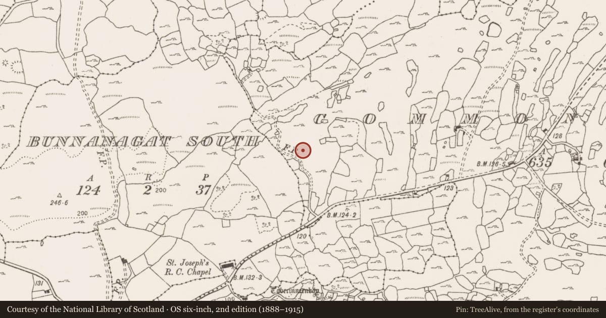 Ordnance Survey six-inch map, 2nd edition (1888–1915) covering the location of Quarry, Commons South, County Clare, with a pin at the register's coordinates