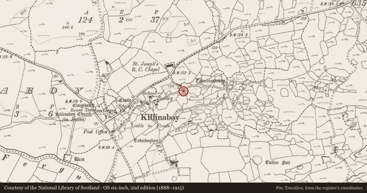 Ordnance Survey six-inch map, 2nd edition (1888–1915) covering the location of Fulacht fia, Commons South, County Clare, with a pin at the register's coordinates