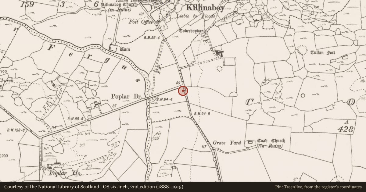 Ordnance Survey six-inch map, 2nd edition (1888–1915) covering the location of Enclosure, Commons South, County Clare, with a pin at the register's coordinates