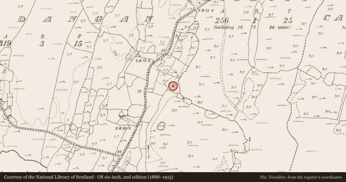 Ordnance Survey six-inch map, 2nd edition (1888–1915) covering the location of Fulacht fia, Ballyportry South, Lisduff, County Clare, with a pin at the register's coordinates