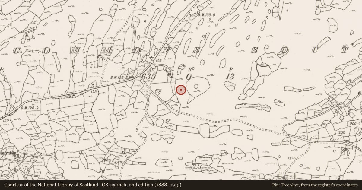 Ordnance Survey six-inch map, 2nd edition (1888–1915) covering the location of Ritual site - holy well, Commons South, County Clare, with a pin at the register's coordinates