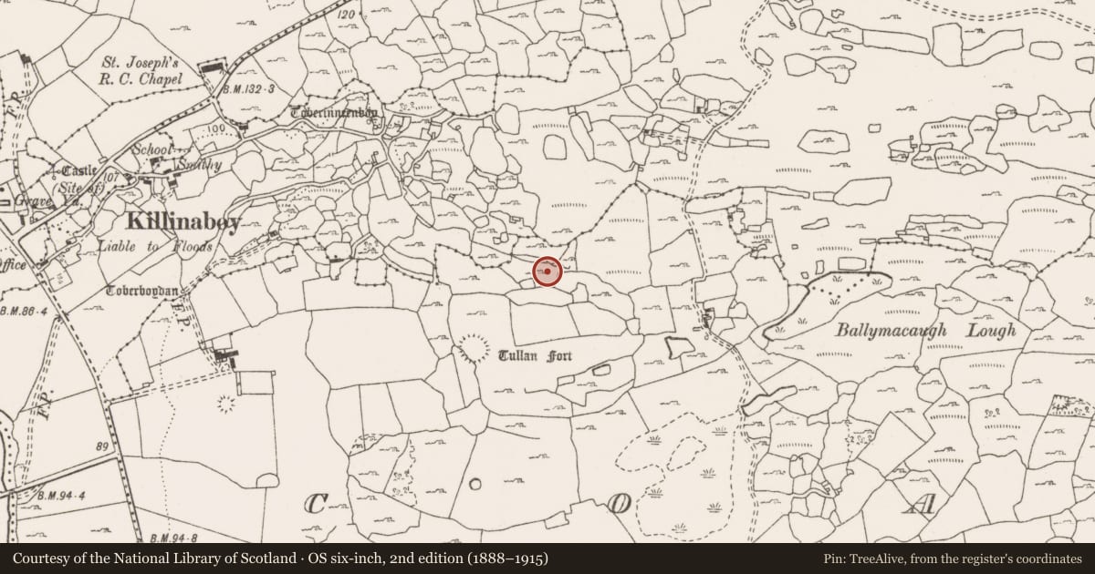 Ordnance Survey six-inch map, 2nd edition (1888–1915) covering the location of Fulacht fia, Coad, County Clare, with a pin at the register's coordinates