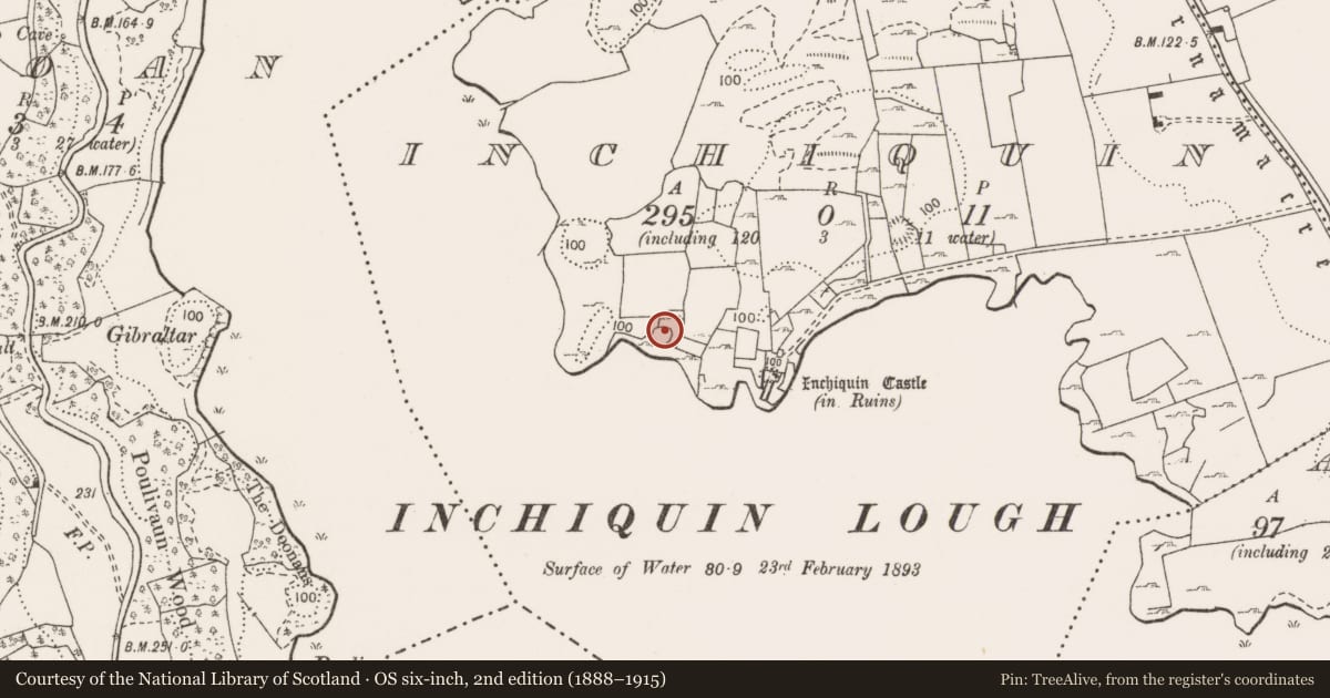 Ordnance Survey six-inch map, 2nd edition (1888–1915) covering the location of Souterrain, Inchiquin, County Clare, with a pin at the register's coordinates