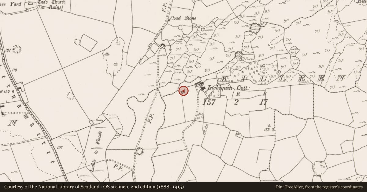 Ordnance Survey six-inch map, 2nd edition (1888–1915) covering the location of Standing stone - pair, Killeen, County Clare, with a pin at the register's coordinates