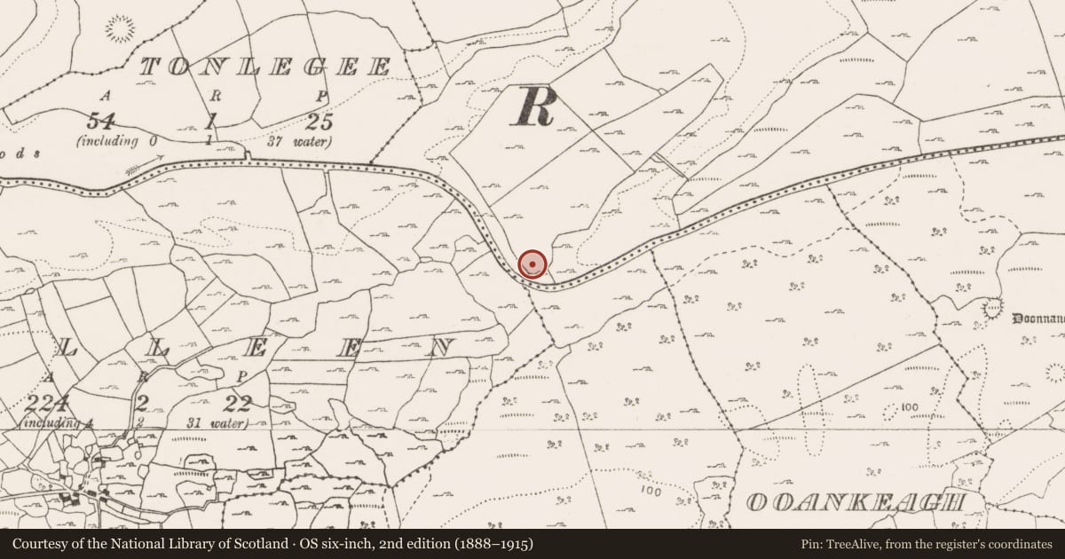 Ordnance Survey six-inch map, 2nd edition (1888–1915) covering the location of Ringfort - cashel, Rinneen, County Clare, with a pin at the register's coordinates