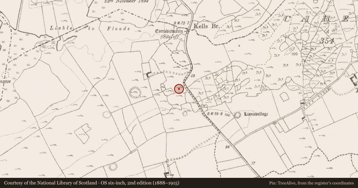 Ordnance Survey six-inch map, 2nd edition (1888–1915) covering the location of Memorial stone, Rinneen, County Clare, with a pin at the register's coordinates
