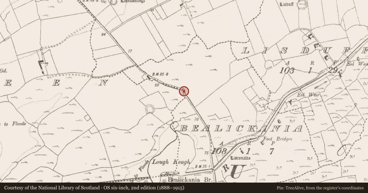 Ordnance Survey six-inch map, 2nd edition (1888–1915) covering the location of Enclosure, Bealickania, Rinneen, County Clare, with a pin at the register's coordinates
