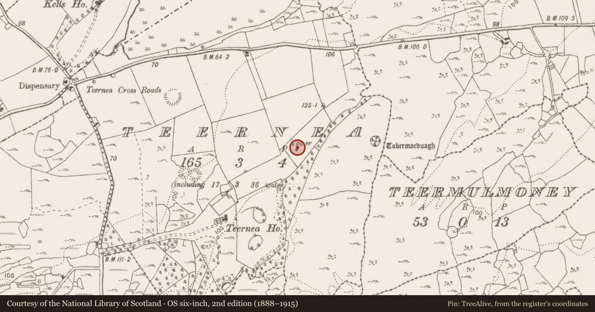 Ordnance Survey six-inch map, 2nd edition (1888–1915) covering the location of Structure, Teernea, County Clare, with a pin at the register's coordinates