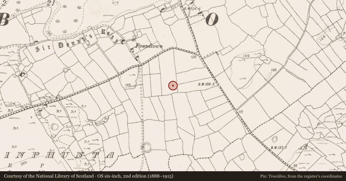 Ordnance Survey six-inch map, 2nd edition (1888–1915) covering the location of Standing stone, Ballinphunta, County Clare, with a pin at the register's coordinates