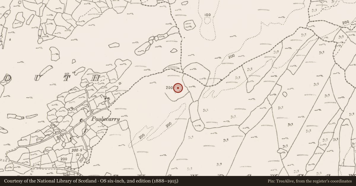 Ordnance Survey six-inch map, 2nd edition (1888–1915) covering the location of Hut site, Shandangan, County Clare, with a pin at the register's coordinates
