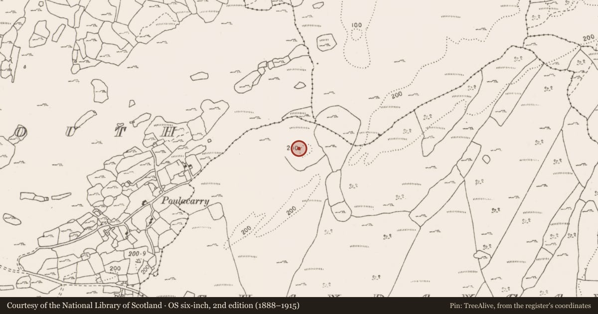Ordnance Survey six-inch map, 2nd edition (1888–1915) covering the location of Field system, Shandangan, County Clare, with a pin at the register's coordinates