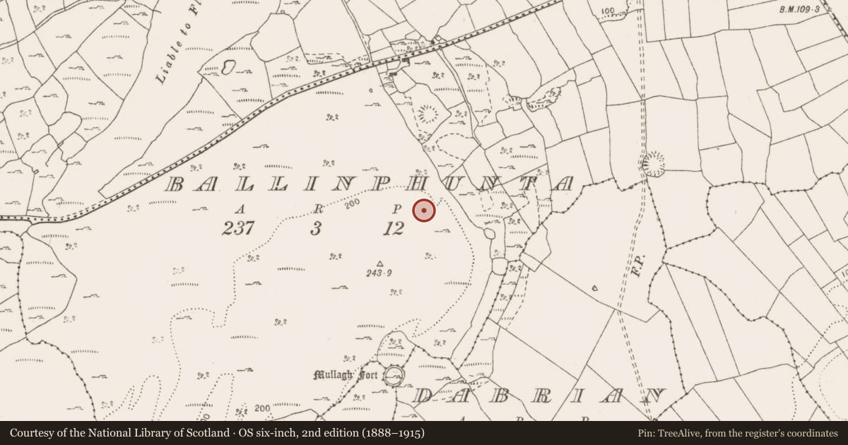 Ordnance Survey six-inch map, 2nd edition (1888–1915) covering the location of Standing stone, Ballinphunta, County Clare, with a pin at the register's coordinates