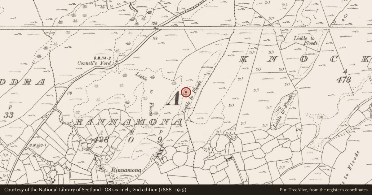 Ordnance Survey six-inch map, 2nd edition (1888–1915) covering the location of Fulacht fia, Rinnamona, County Clare, with a pin at the register's coordinates
