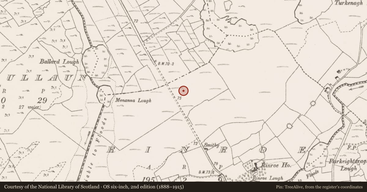 Ordnance Survey six-inch map, 2nd edition (1888–1915) covering the location of Fulacht fia, Rinroe, County Clare, with a pin at the register's coordinates