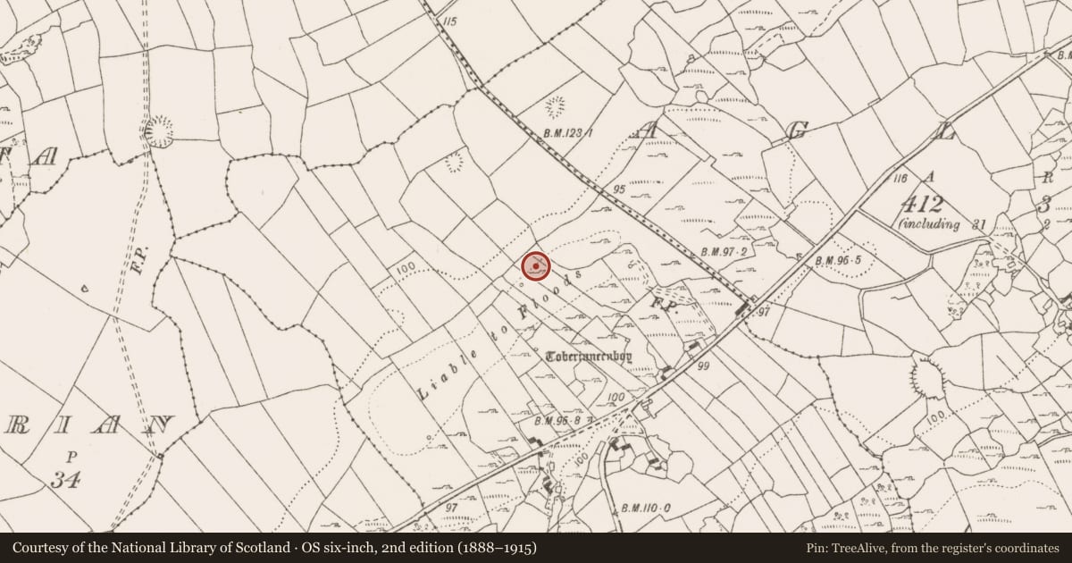 Ordnance Survey six-inch map, 2nd edition (1888–1915) covering the location of Fulacht fia, Ballard, County Clare, with a pin at the register's coordinates