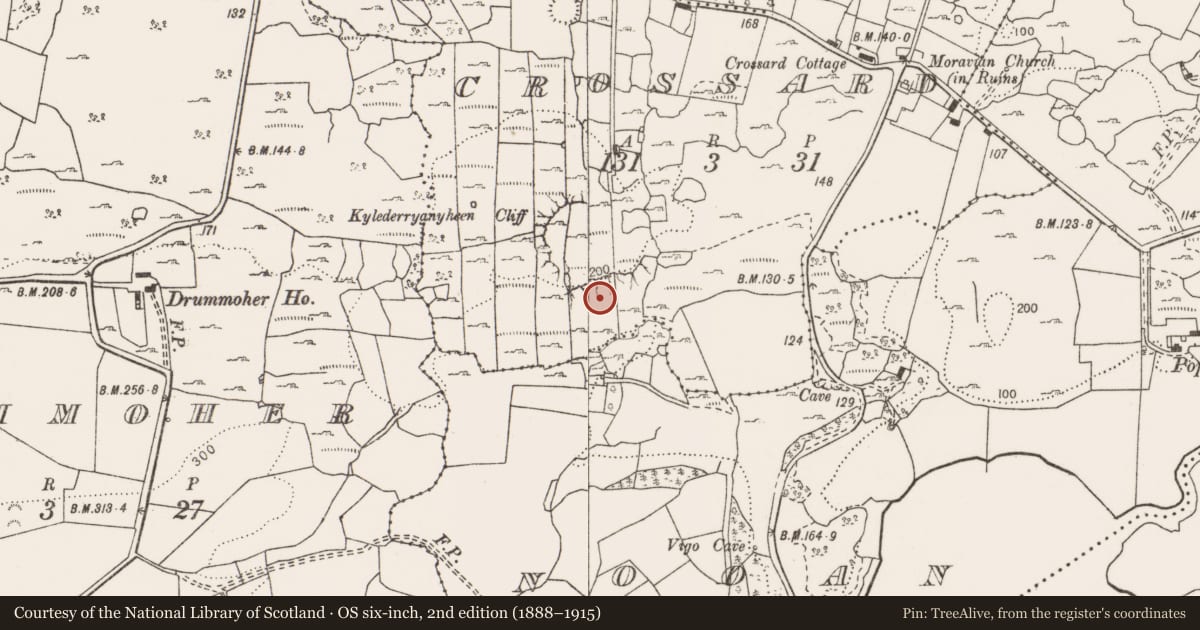Ordnance Survey six-inch map, 2nd edition (1888–1915) covering the location of Megalithic tomb - wedge tomb, Crossard, County Clare, with a pin at the register's coordinates