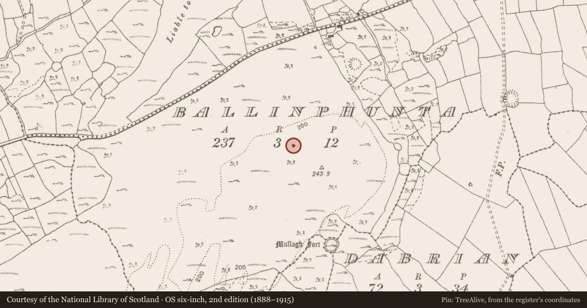 Ordnance Survey six-inch map, 2nd edition (1888–1915) covering the location of Standing stone, Ballinphunta, County Clare, with a pin at the register's coordinates
