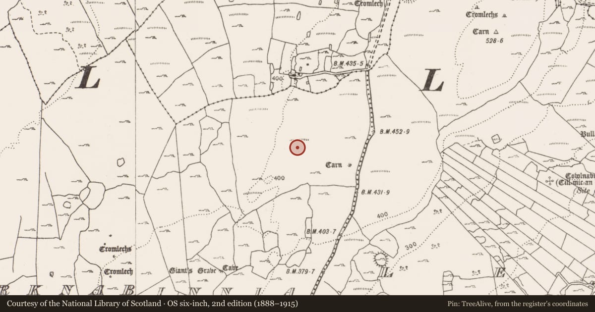 Ordnance Survey six-inch map, 2nd edition (1888–1915) covering the location of Enclosure, Parknabinnia, County Clare, with a pin at the register's coordinates