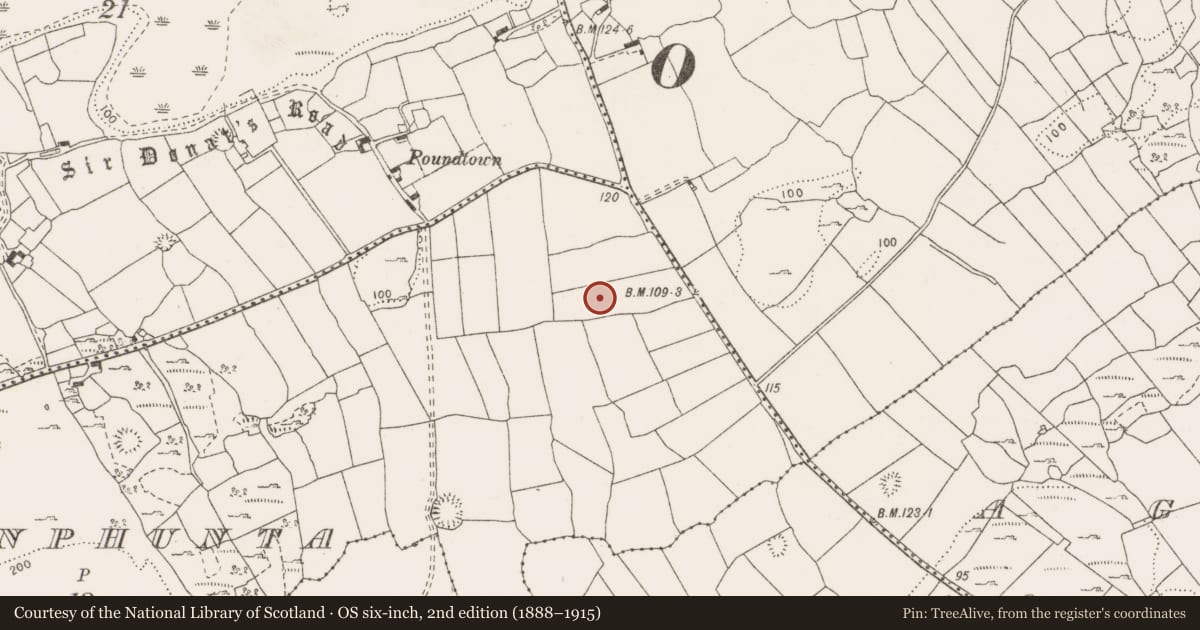 Ordnance Survey six-inch map, 2nd edition (1888–1915) covering the location of Enclosure, Ballinphunta, County Clare, with a pin at the register's coordinates