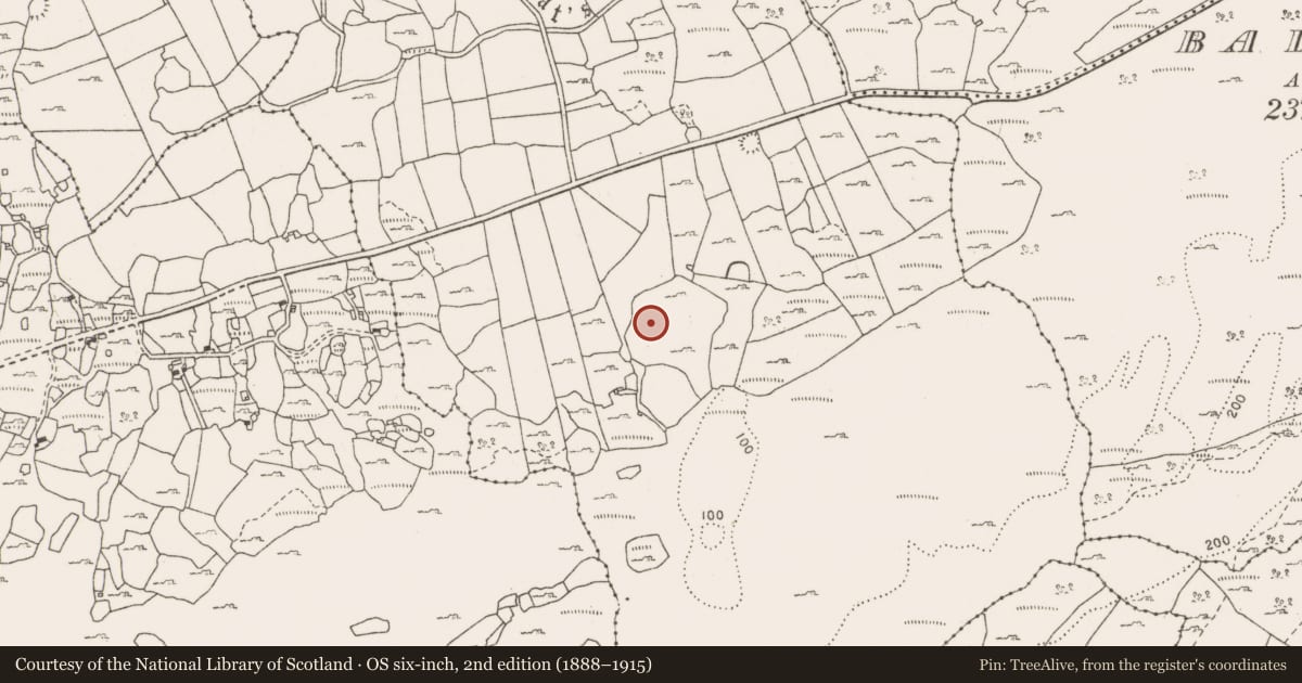 Ordnance Survey six-inch map, 2nd edition (1888–1915) covering the location of Enclosure, Rinnamona, County Clare, with a pin at the register's coordinates