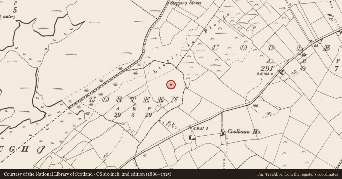 Ordnance Survey six-inch map, 2nd edition (1888–1915) covering the location of Cist, Gorteen, County Clare, with a pin at the register's coordinates