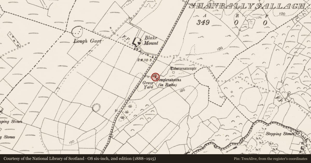 Ordnance Survey six-inch map, 2nd edition (1888–1915) covering the location of Graveyard, Shanballysallagh, County Clare, with a pin at the register's coordinates