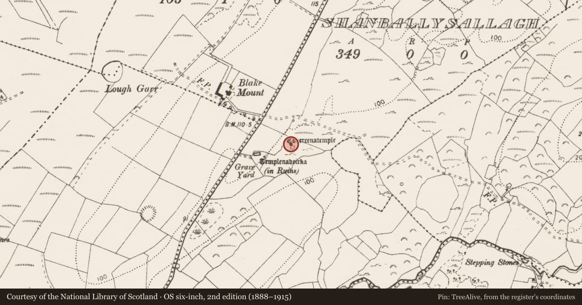 Ordnance Survey six-inch map, 2nd edition (1888–1915) covering the location of Ritual site - holy well, Shanballysallagh, County Clare, with a pin at the register's coordinates